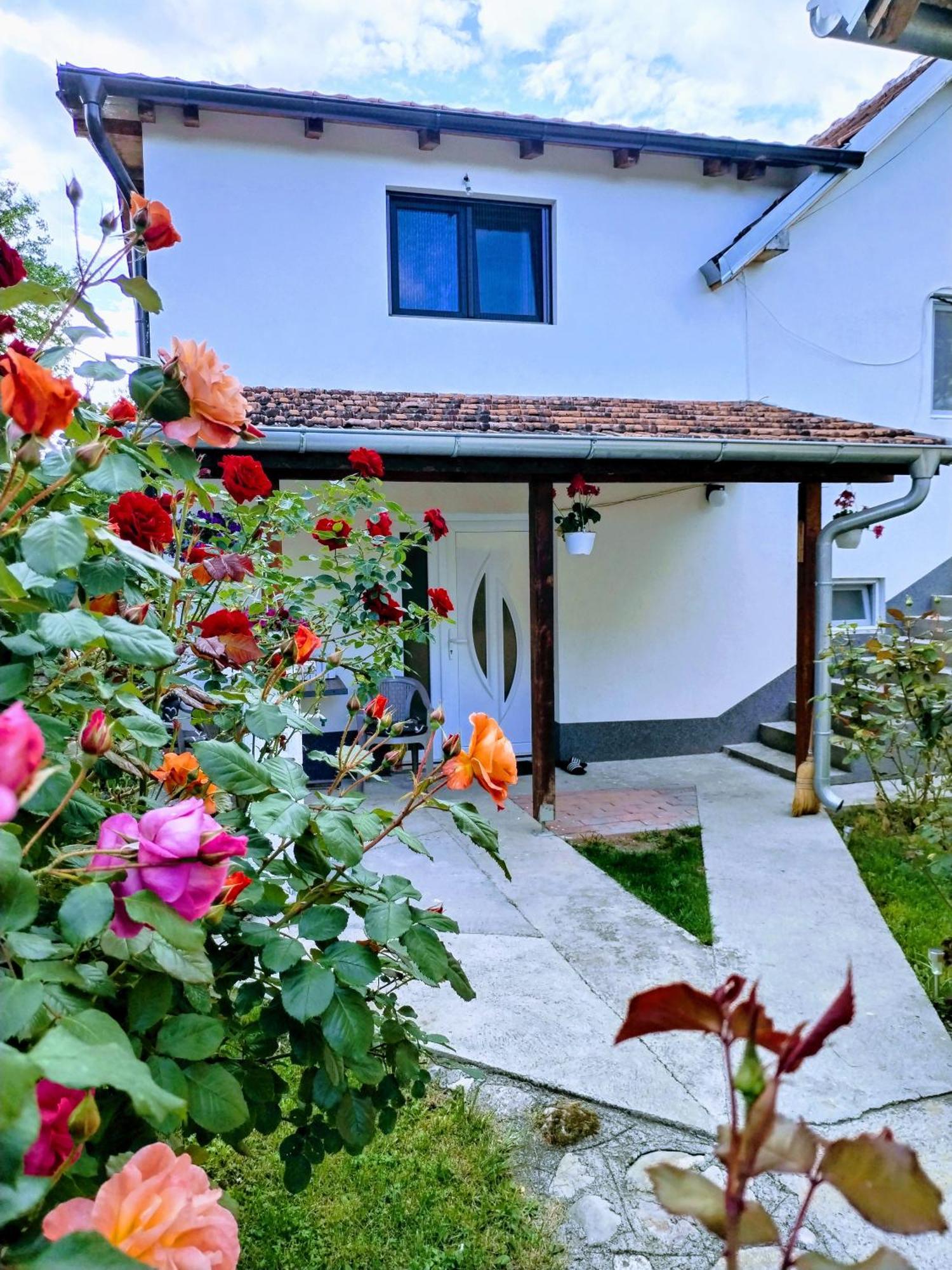 Privatni Smestaj Zlatko Soko Banja Exterior foto